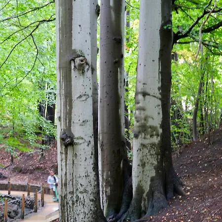 Herbst Apartamento